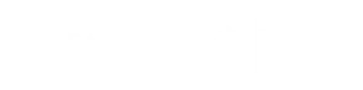 Large Perfx TPC Meta Team partnership logo white