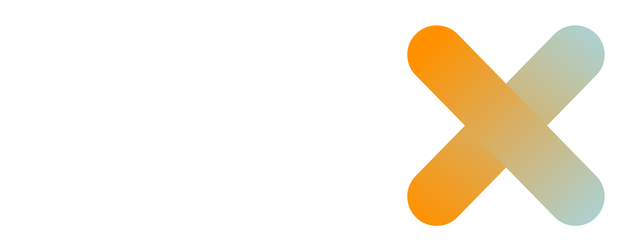 PerfX logo white large